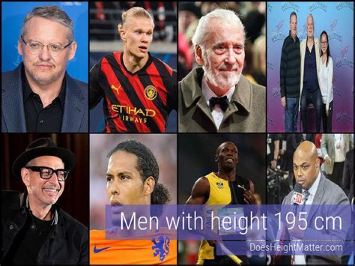 19.5 Cm: The Perfect Size For Any Job!