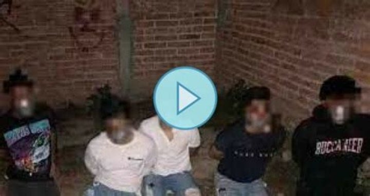 5 Mexican Students Linked To Drug Cartel: Investigations