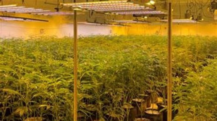 In Loving Memory Of Adam Gibson: A Cherished Life Remembered In Oklahoma