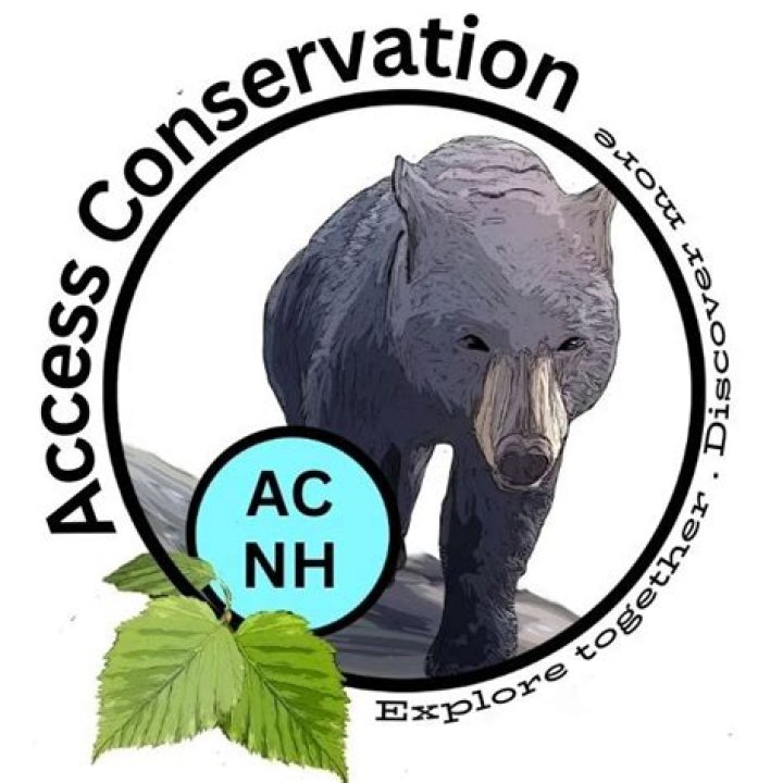 Unveiling The Secrets Of Agodetails: A Comprehensive Guide