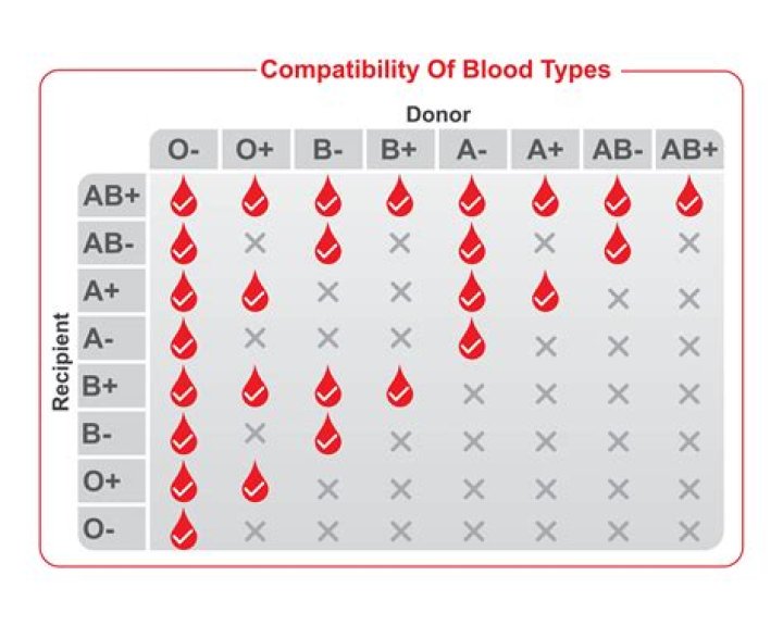 Ahn Jae Hyun's Blood Type: A Complete Guide