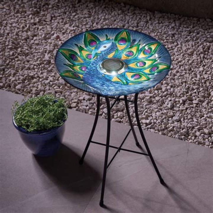 Aldi Bird Bath: The Perfect Addition To Your Garden