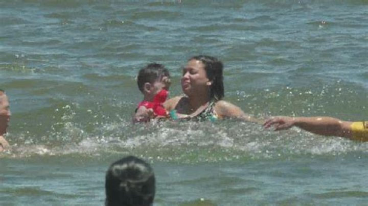 Aquashowgirls: The Enchanting World Of Aquatic Performers