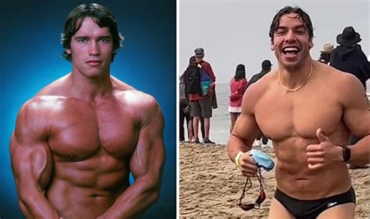Arnold Schwarzenegger's Secret Son With Former Maid