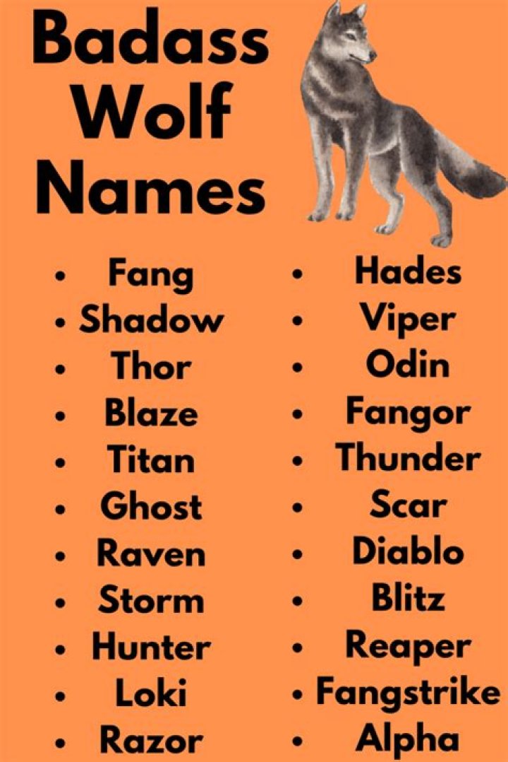Unleashing The Spirit: Badass Wolf Names For The Fierce And Fearless