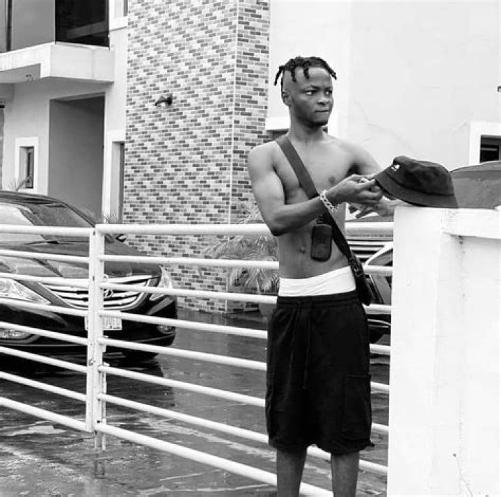 Discovering The Allure Of The Balloranking House
