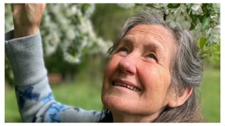 Unveiling The Many Uses Of Borax: Insights From Barbara O'Neill