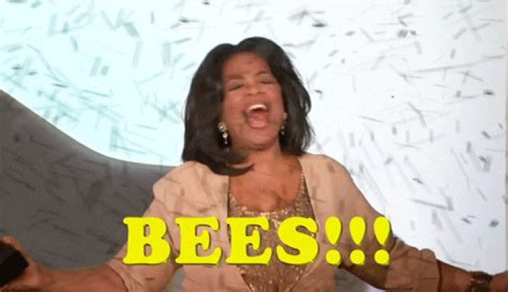 Buzzing With Oprah: The Sweet Connection Between Bees And A Cultural Icon