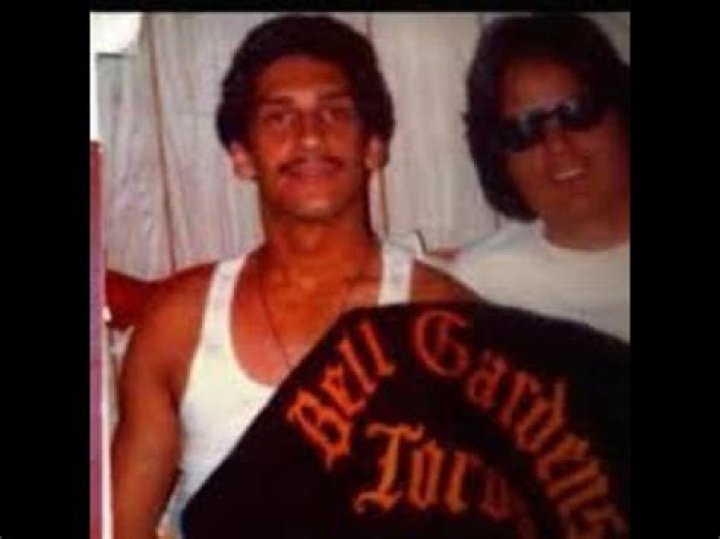 Understanding The Dynamics Of Bell Gardens Gangs