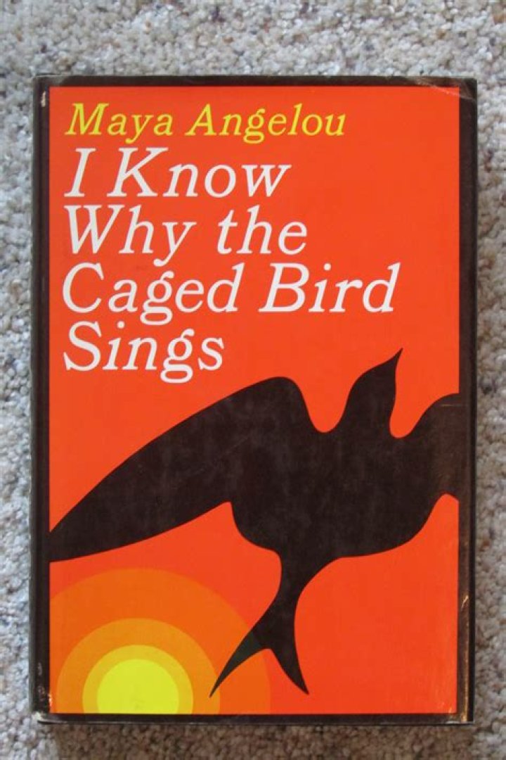 When The Bird Sings: Let The Bodies Speak