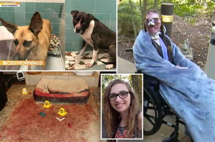 Brittany Skoland Today: A Journey Through Her Life And Career