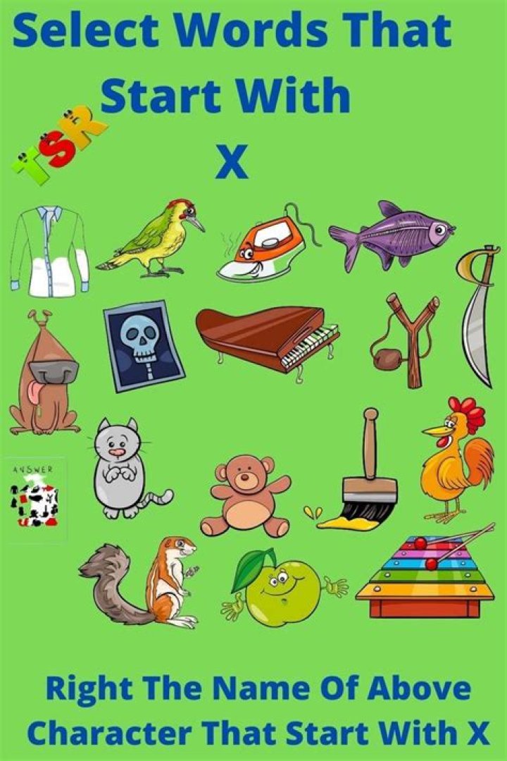 Exploring The Enigma: Celebrity Beginning With X