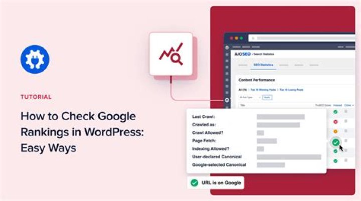 Unlocking The Secrets: How To Check Google Ranking Of Your Website