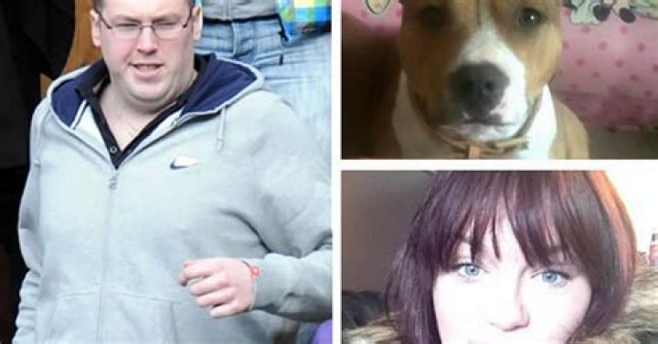 Discovering The Enigmatic Cleopatra Morgan Dog