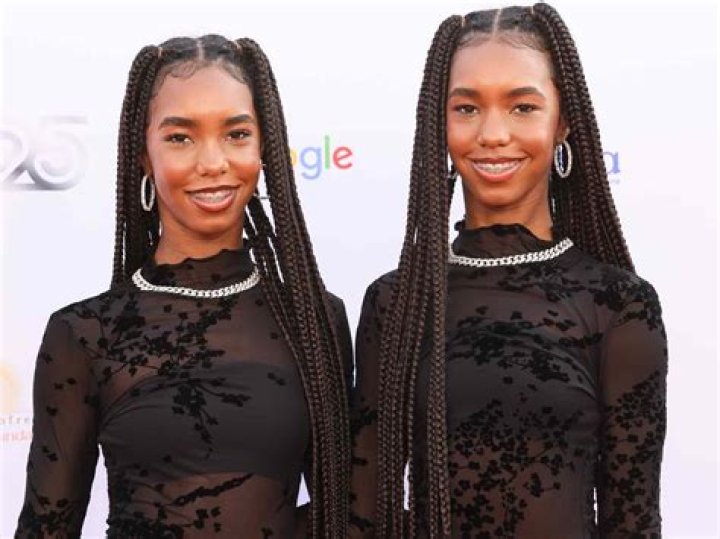 Discover The Allure Of D Lila Star Combs