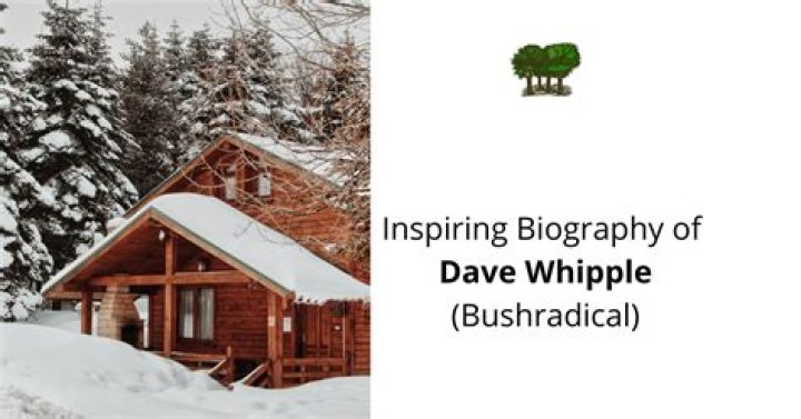 Dave Whipple - A Wikipedia Profile