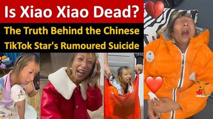 The Truth Unraveled: Did Xiao Xiao Meet Her Untimely Demise?