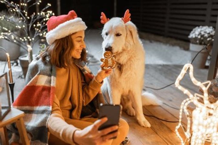 When Canine Curiosity Takes A Strange Turn: Understanding The Phenomenon Of Dog Eating Her Out