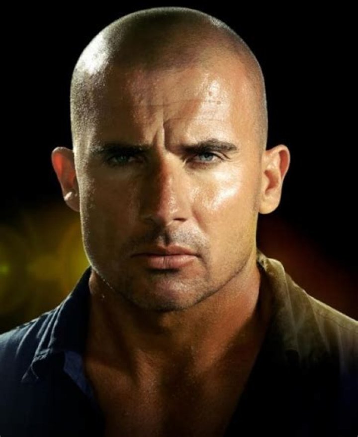 Unraveling The Cinematic Journey Of Dominic Purcell: Movies And TV Shows