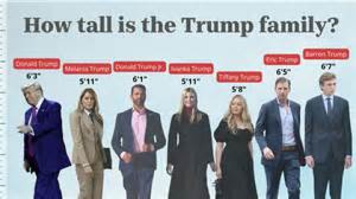 Understanding Donald Trump's Height In Meters