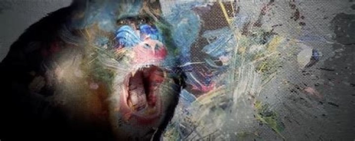 Discovering El Patron Vidro: The Legacy And Influence