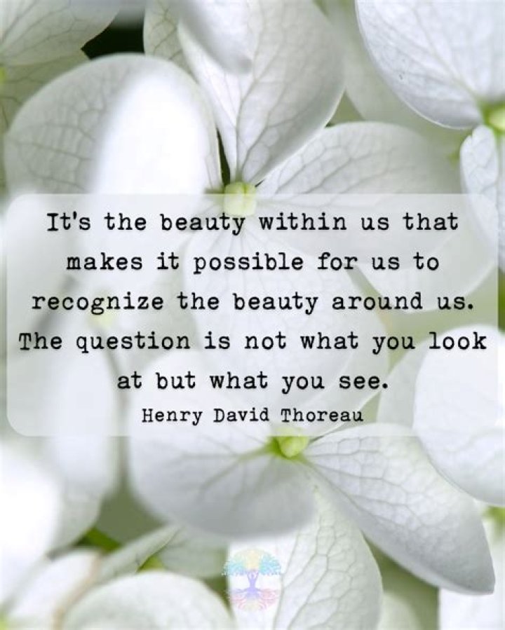Embracing The Beauty Within Meaning: A Journey To Self-Discovery