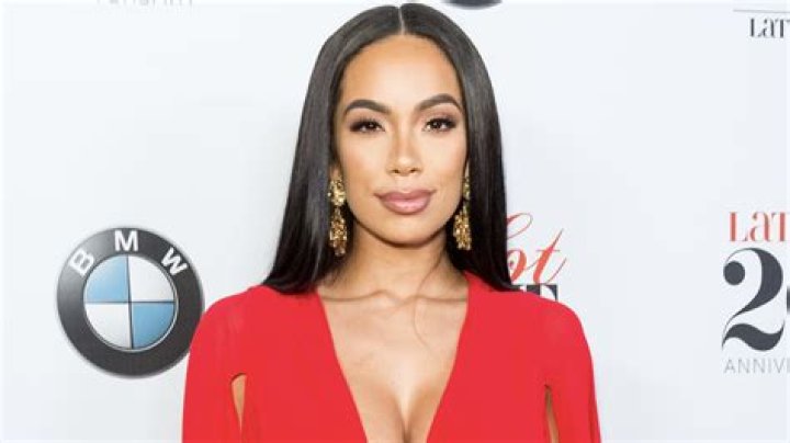 Unraveling The Relationship Between Erica Mena And Raoul