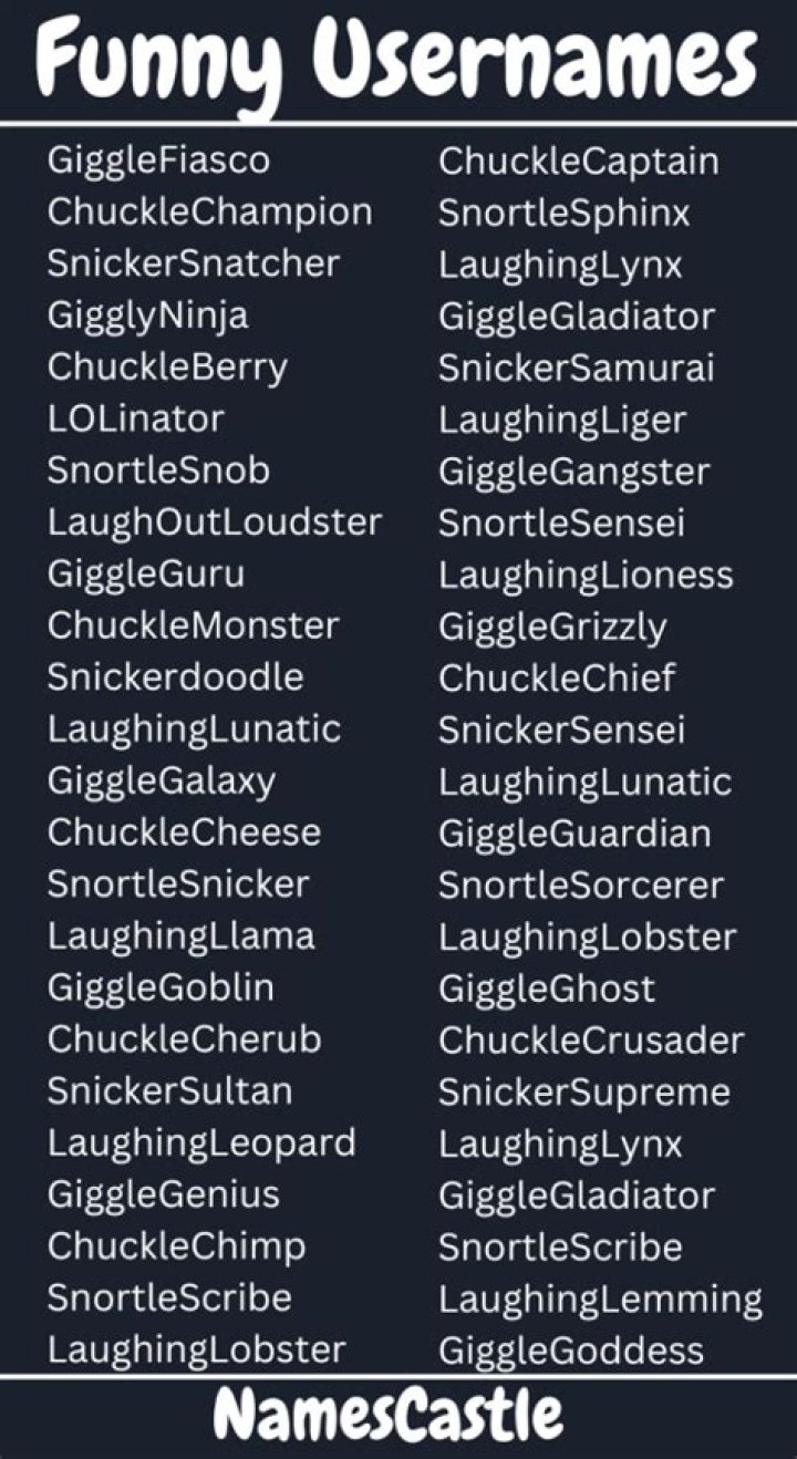 Unlocking The World Of Funny Usernames: A Journey Into Humor