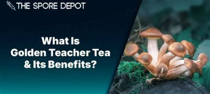 Discovering The Wonders Of Golden Teacher Tea