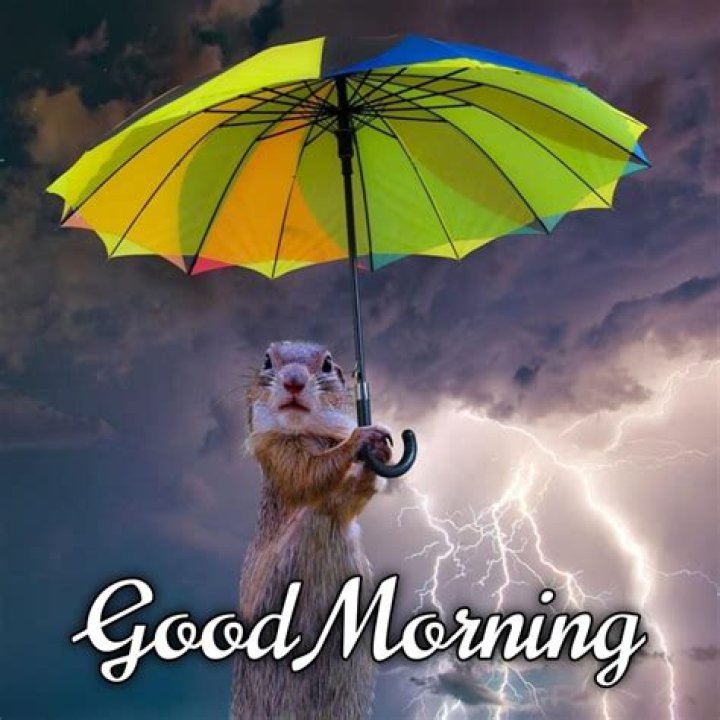 Embracing The Charm Of A Good Morning On A Rainy Day