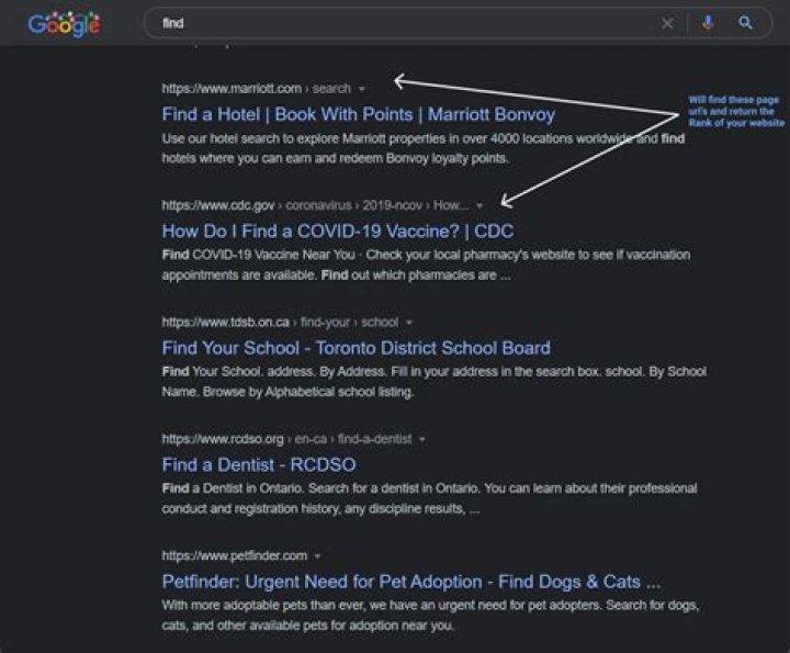 Unlocking The Power Of Google Rank Finder: Your Ultimate SEO Tool