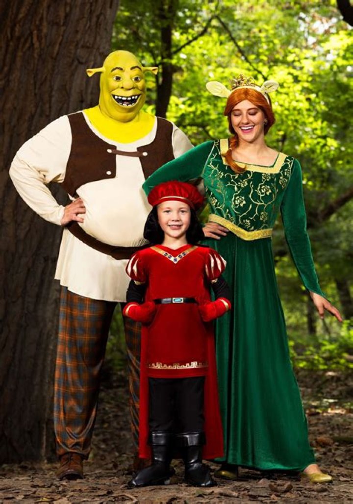 Crafting The Perfect Homemade Princess Fiona Costume