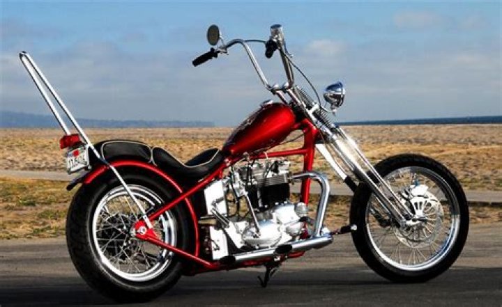 Unraveling The Mystery: How Did Chopper Brad Die?