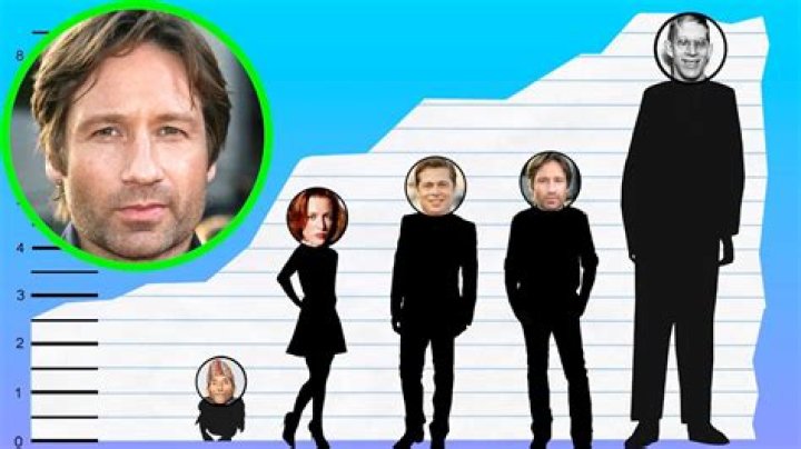 David Duchovny's Height: How Tall Is He?