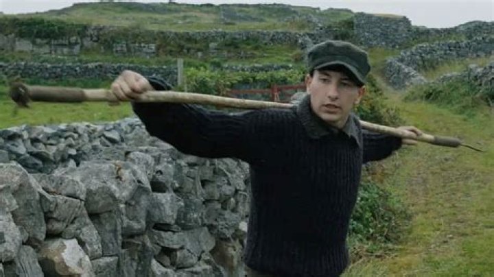 Is Barry Keoghan Irish: Unraveling The Actor's Heritage