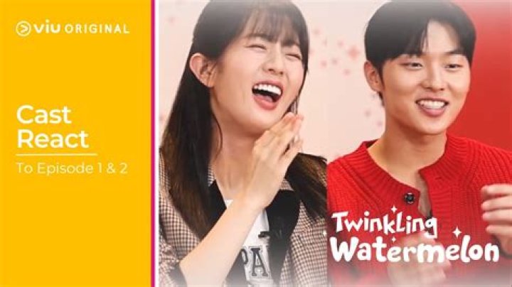 Discovering The Magic Of Twinkling Watermelon On Netflix