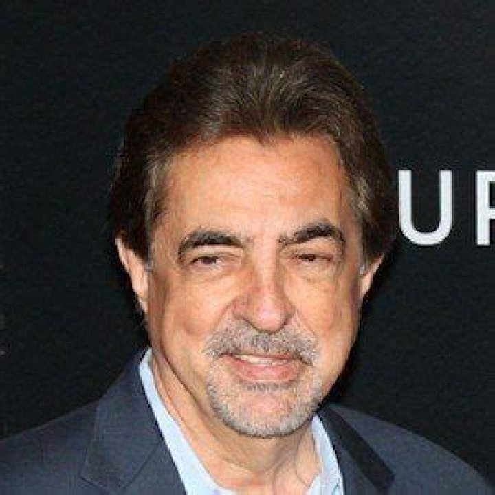 Exploring The Life And Age Of Joe Mantegna