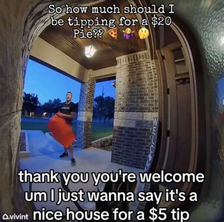 Unveiling The Charm Of Ladybug3660: A Journey Through Colors And Creativity