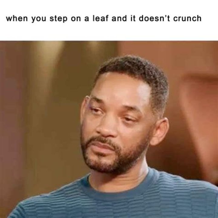 Exploring The Humor In Letdown: Memes About Disappointment