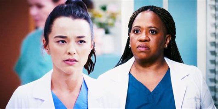 Miranda Bailey: The Heart And Soul Of Grey's Anatomy
