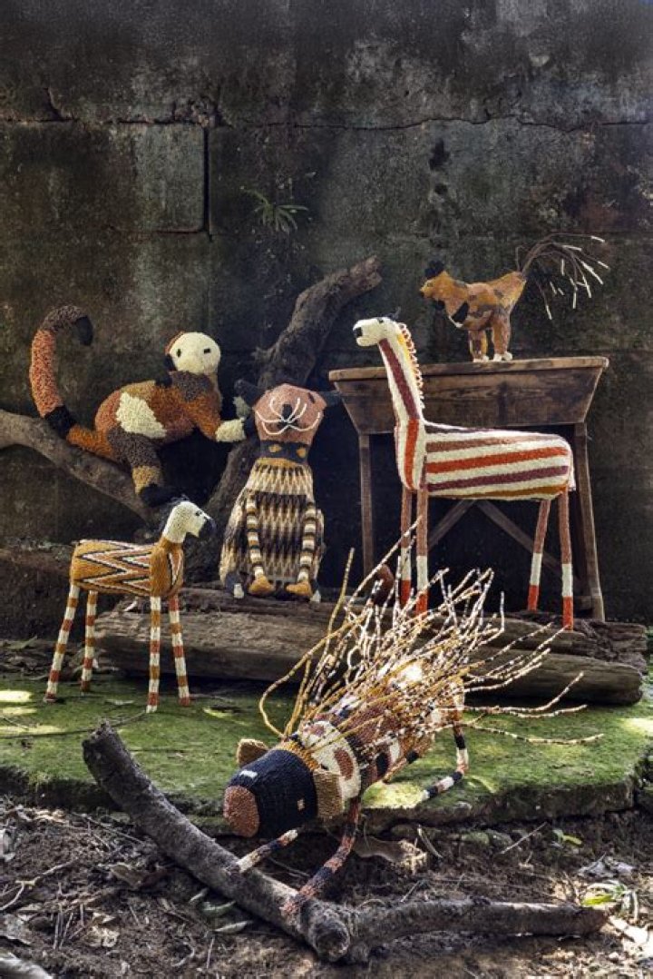 Unveiling The World Of Niki_koos