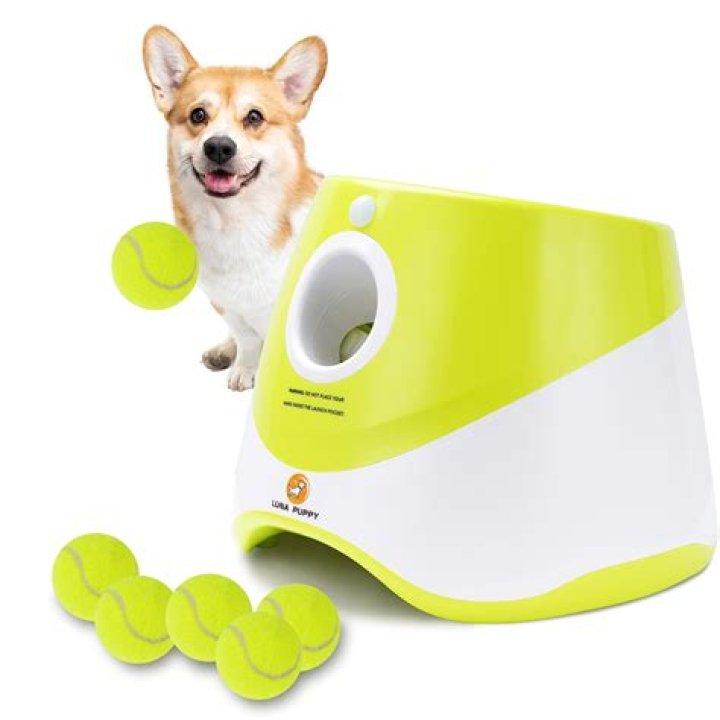 Unleashing Fun: The Pop Up Dog Ball Toy