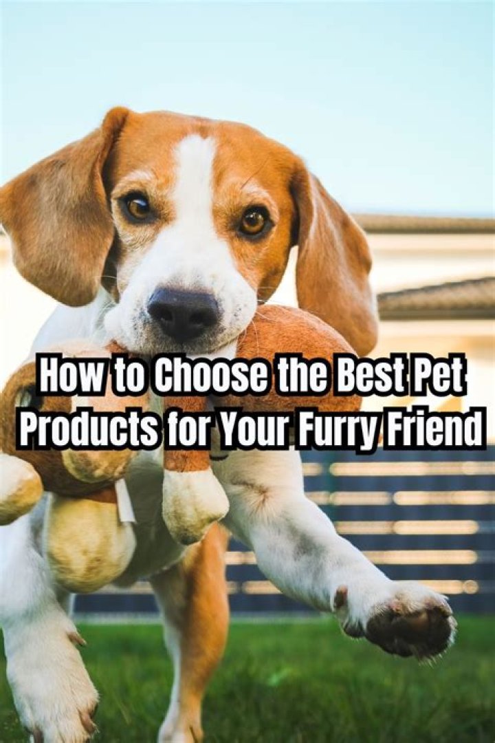 Puppy Cane: The Perfect Treat For Your Furry Friend