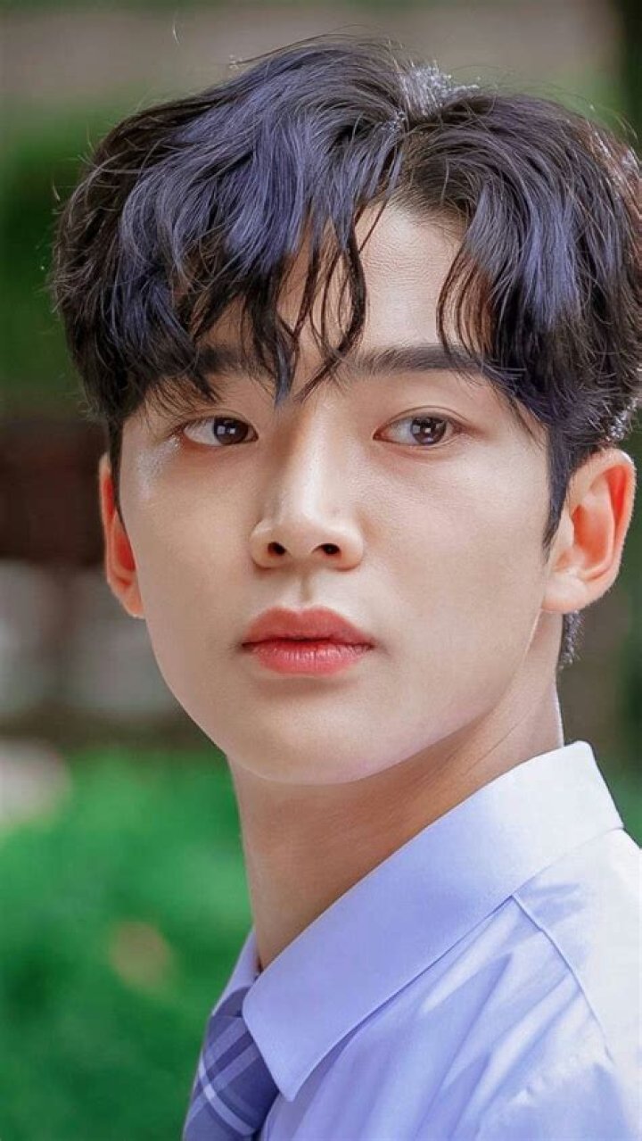 Unveiling The Charisma Of Rowoon: A Journey Through Talent And Passion