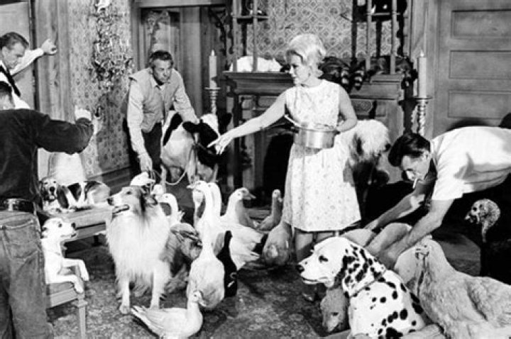 Understanding The Rural Purge: A Transformation Of Television Landscape