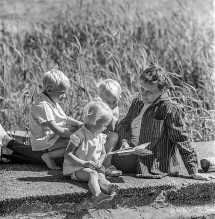 Scott Lindgren - The Definitive Wikipedia Guide