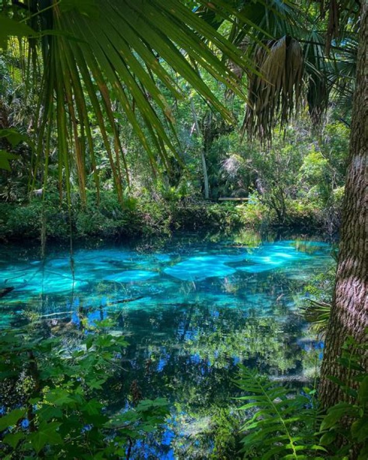 Exploring The Exciting World Of Skiothegames Ocala