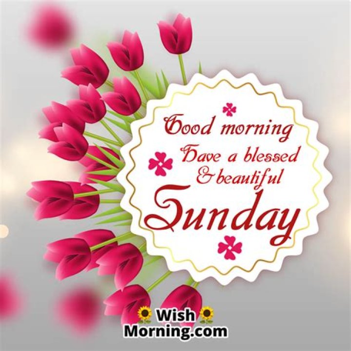 Embrace The Joy Of Sunday Morning Wishes