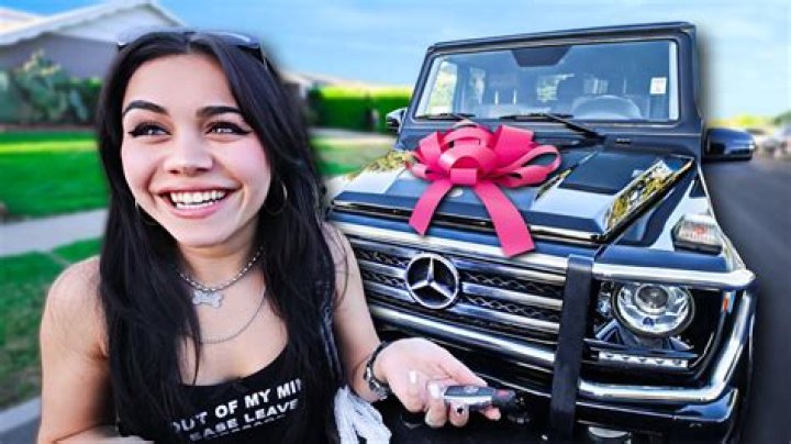 The Delightful Journey Of Tara Yummy Car