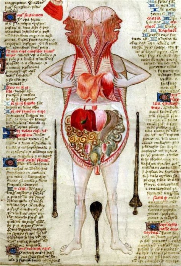 Unveiling The Mysteries Of Tarrare's Organs: The Enigma Of A Unique Physique